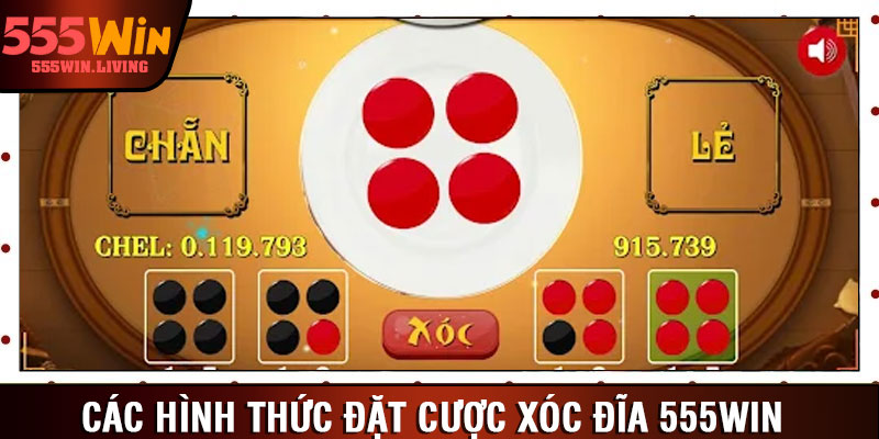 Các hình thức đặt cược xóc đĩa 555win
