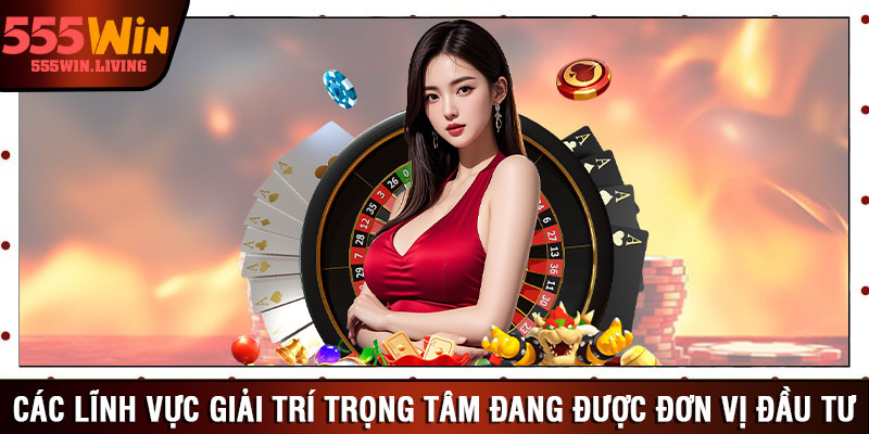 Các lĩnh vực giải trí trọng tâm đang được đơn vị đầu tư