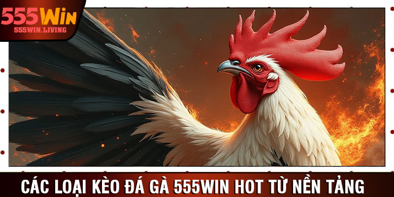 Các loại kèo đá gà 555win hot từ nền tảng 
