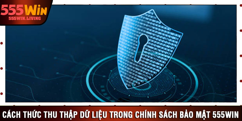 Cách thức thu thập dữ liệu trong chính sách bảo mật 555win