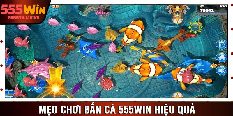 Mẹo chơi bắn cá 555win hiệu quả